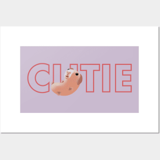 Skinny Pig Cutie Hairless Guinea Posters and Art